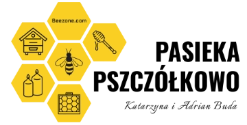Beezone - logo